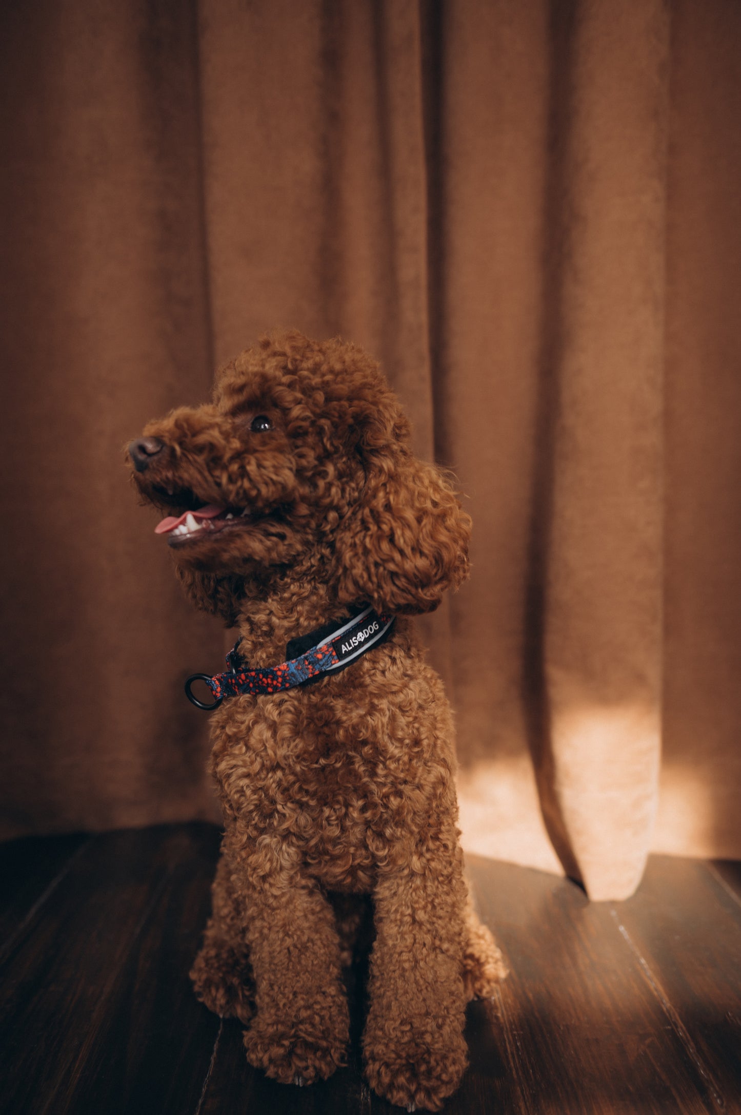 Soft dog collar The Red Berry