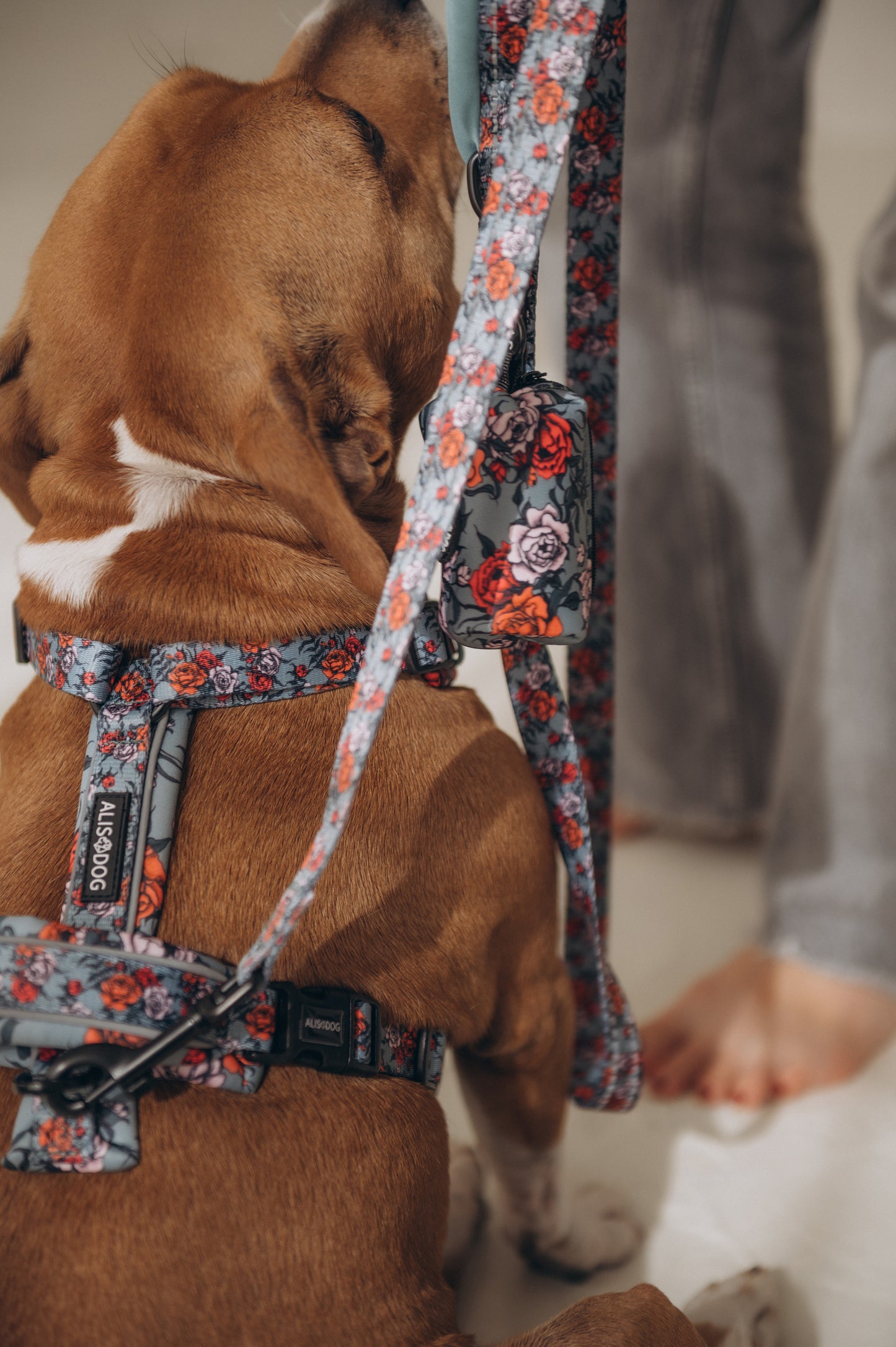 Comfy Harness 2.0 Peonies