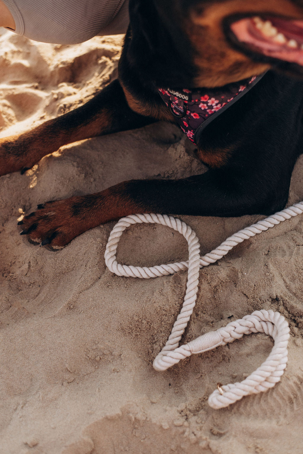 Pearl Rope leash 180 cm long