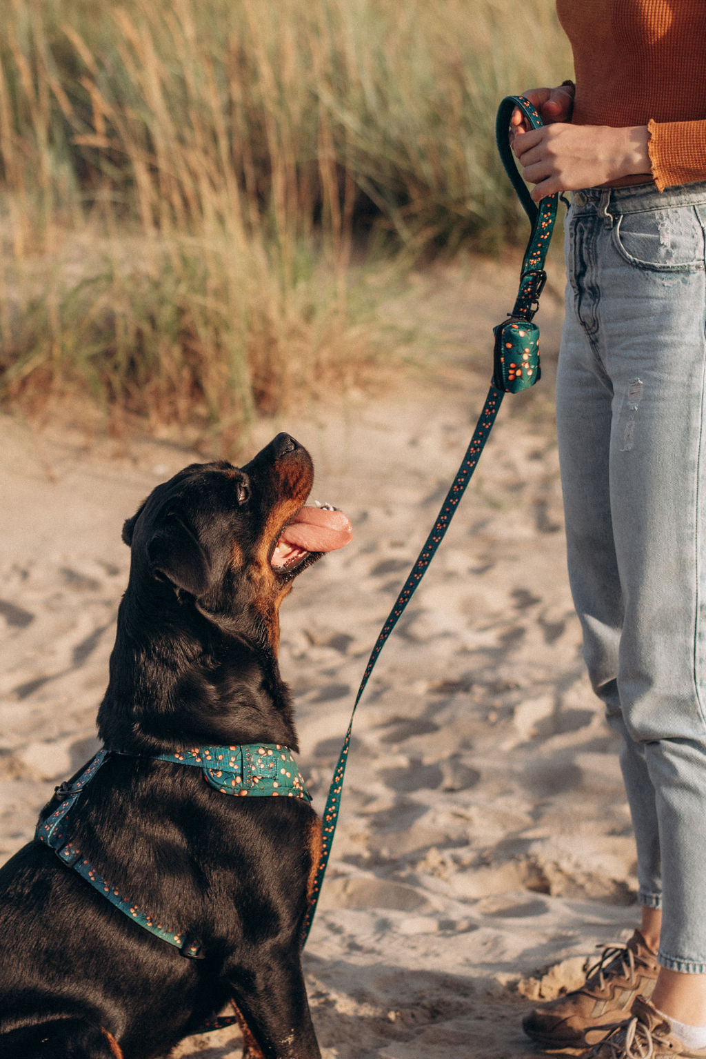 Dog leash SEA BUCKTHORN