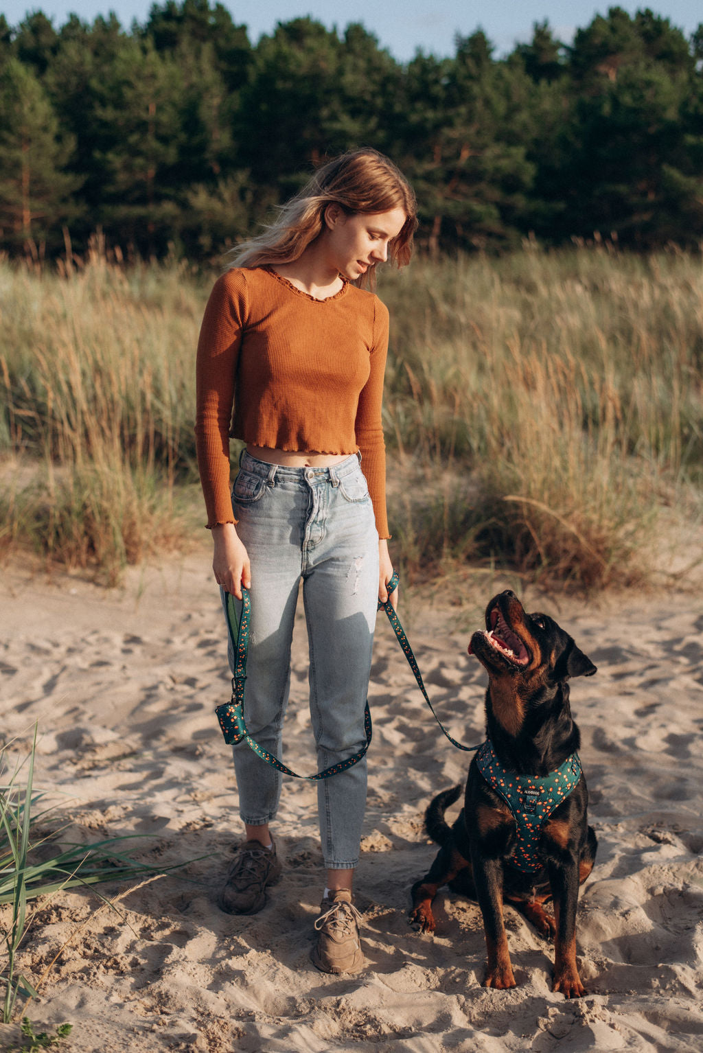 Neoprene dog harness SEA BUCKTHORN