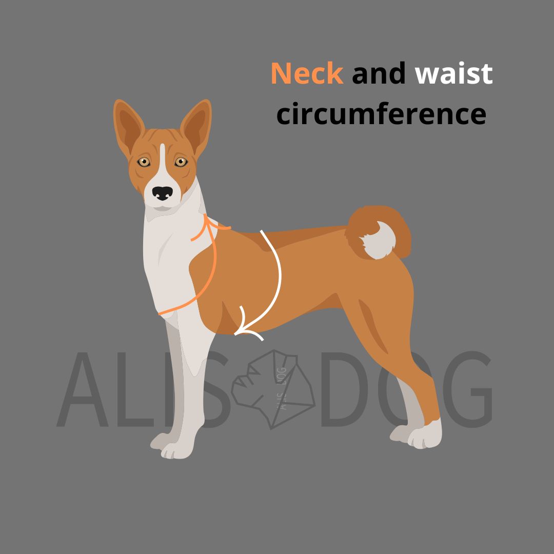 Neoprene dog harness Midnight Frost