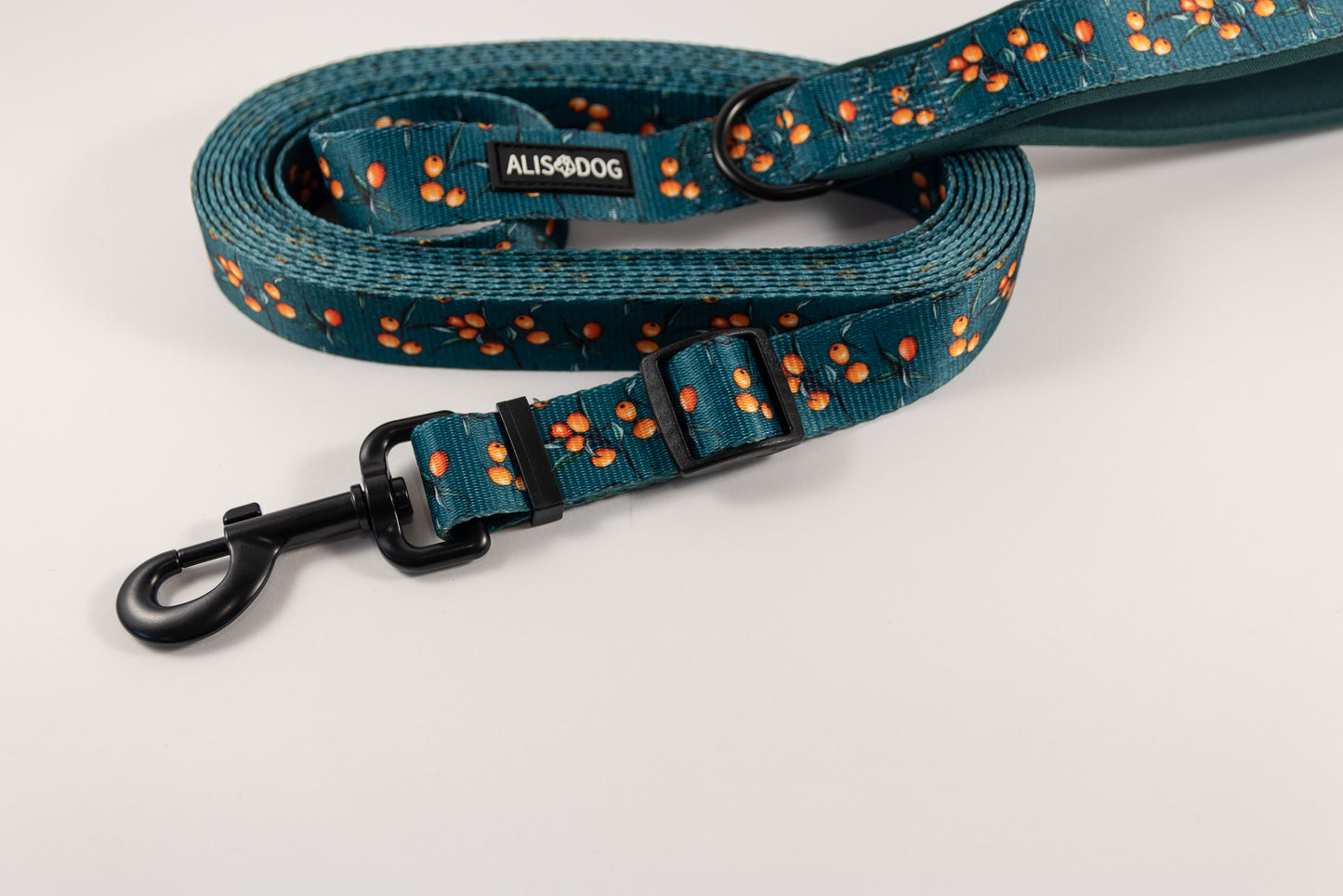 Dog leash SEA BUCKTHORN adjustable lenght 500-250cm