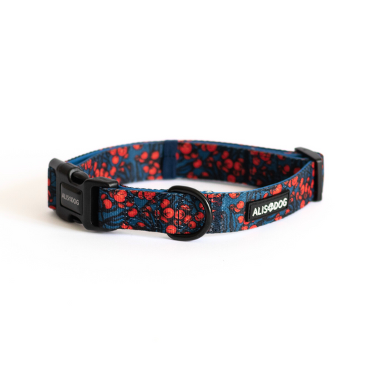 Dog collar THE RED BERRY