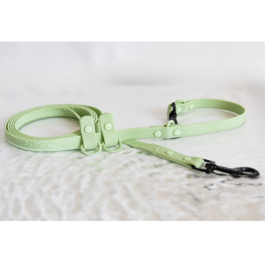 Green Waterproof Multi dog leash