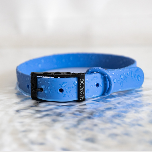 Zila ūdensizturīga suņu kaklasiksna