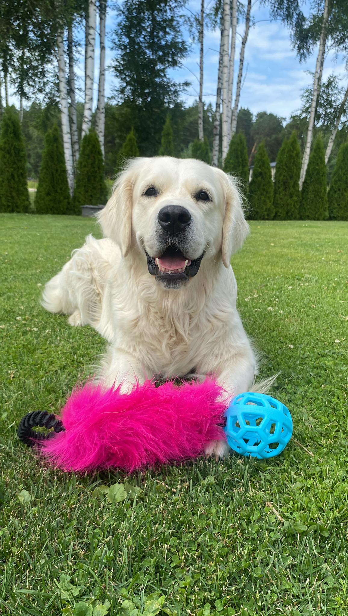 Bungee Tug Toy Pink Fur