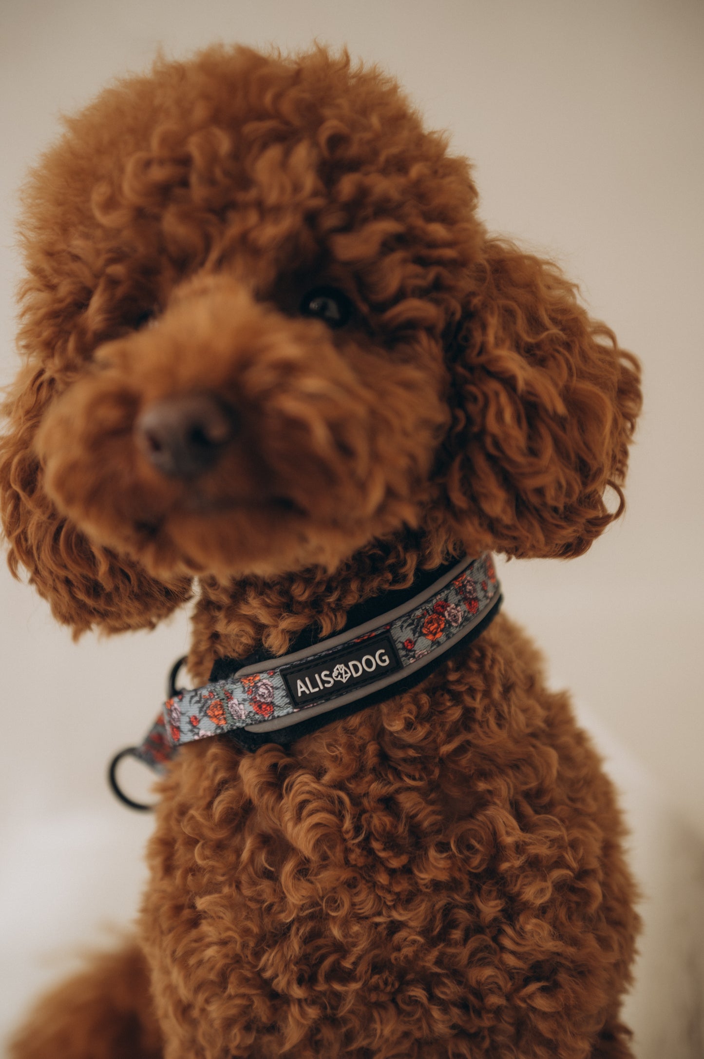 Soft dog collar Peonies