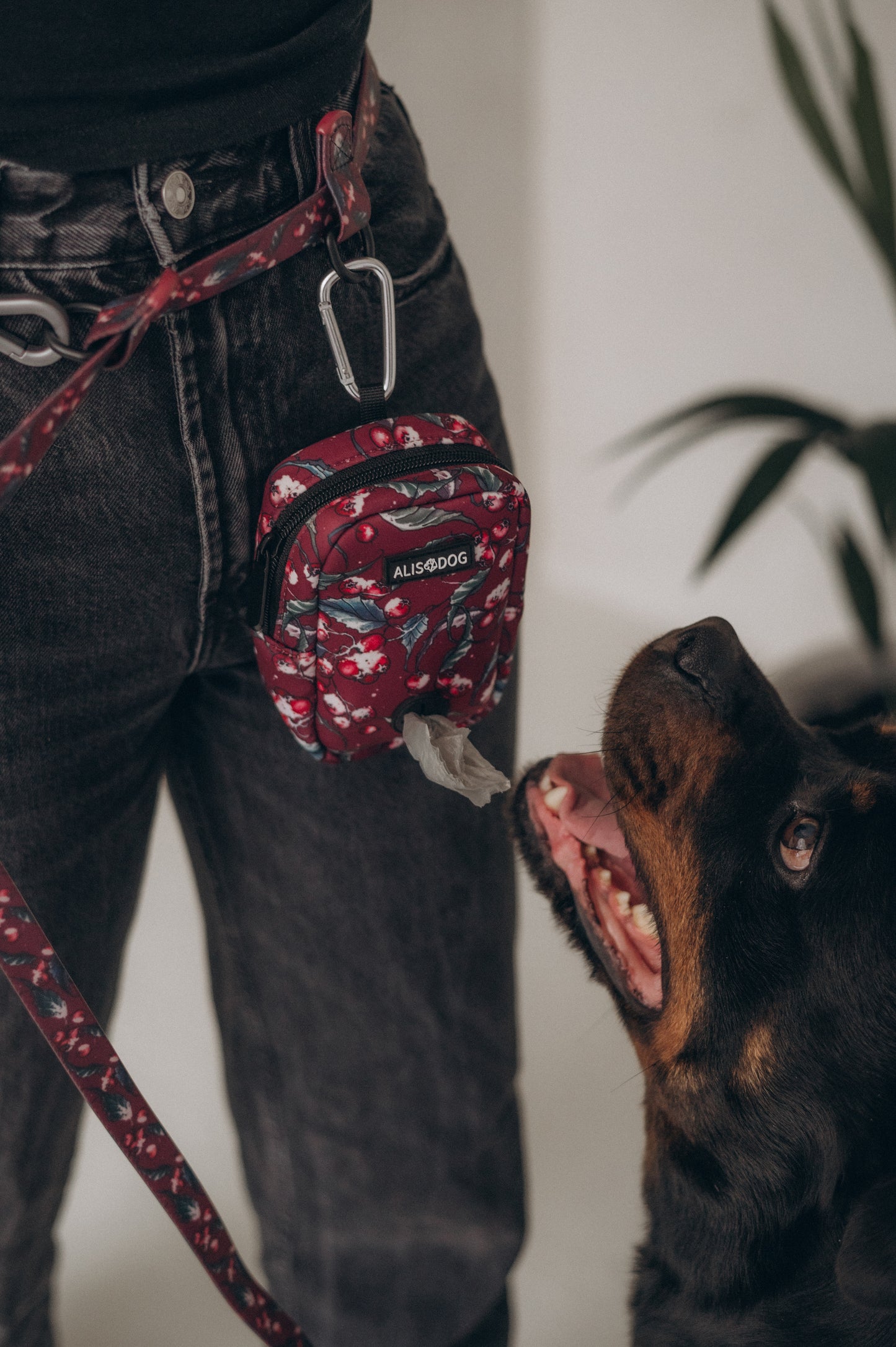 Dog treat bag Frosted Bliss