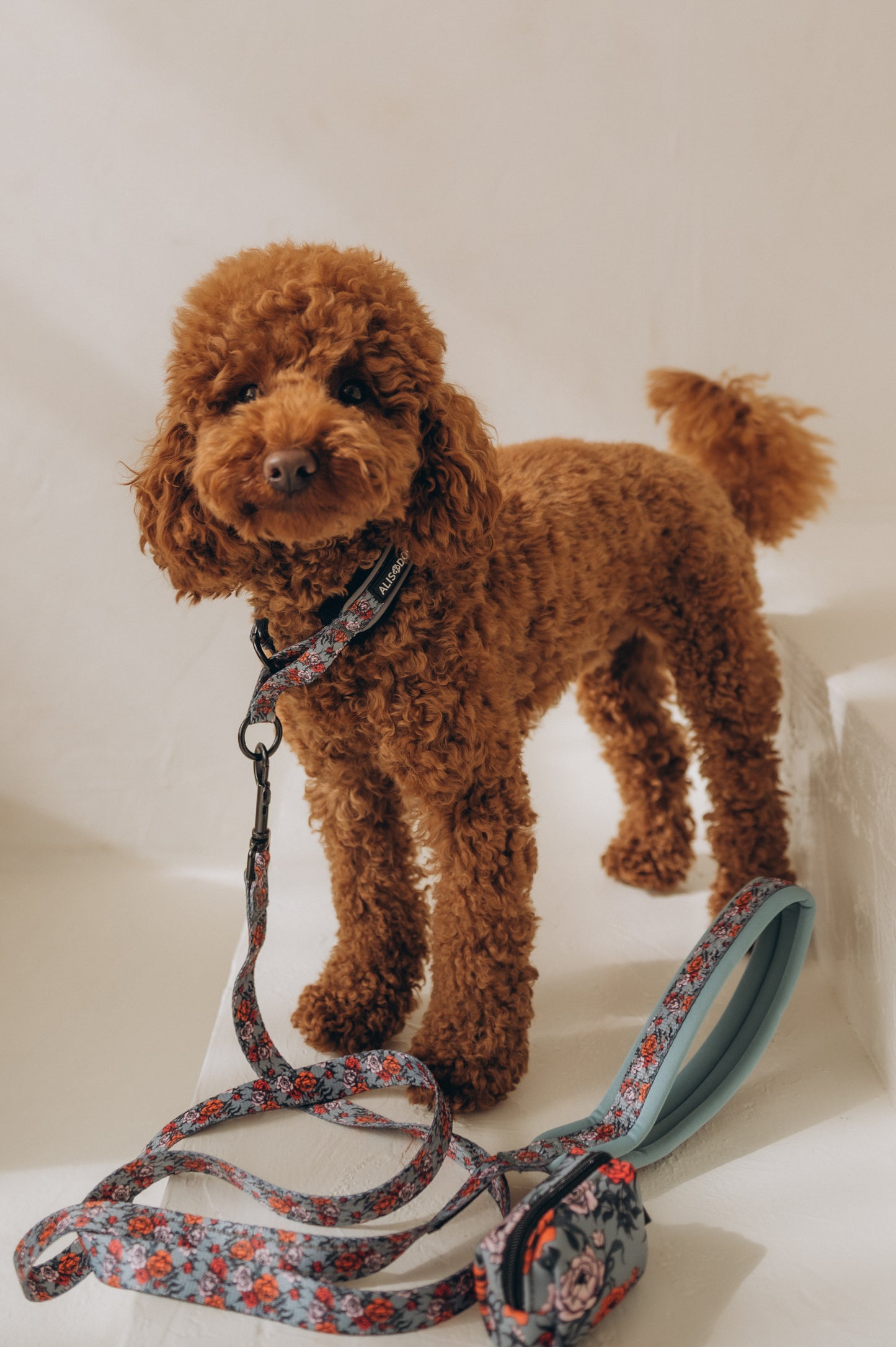 Dog leash Peonies Reflective