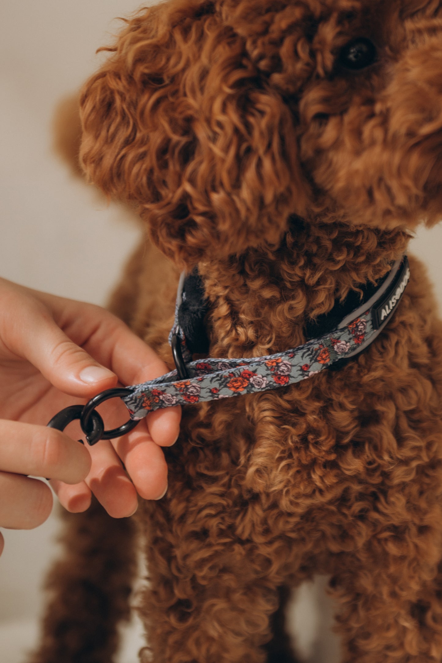 Soft dog collar Peonies