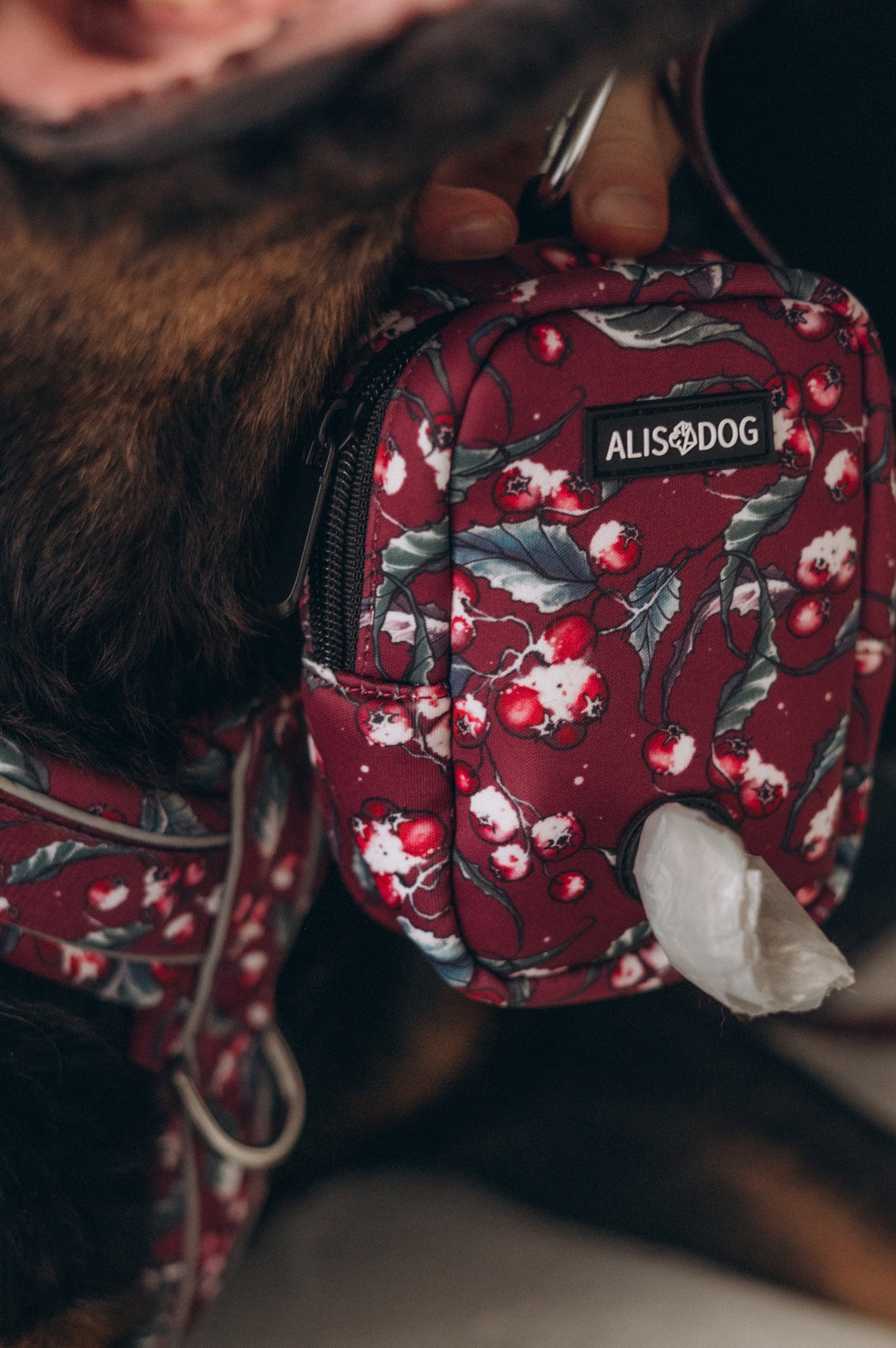 Dog treat bag Frosted Bliss