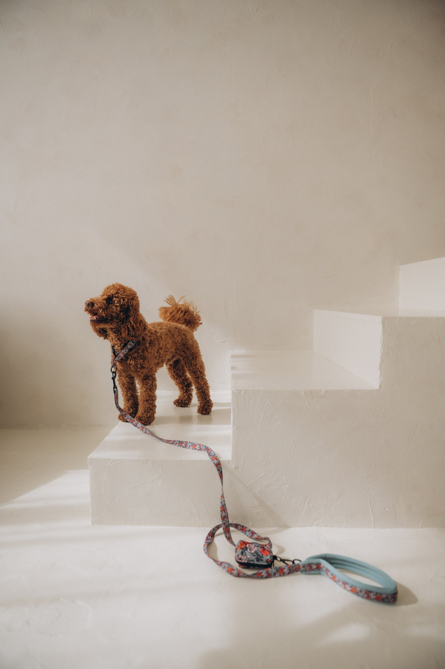 Dog leash Peonies Reflective