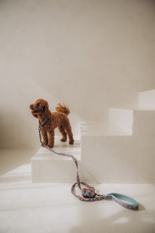 Dog leash Peonies Reflective