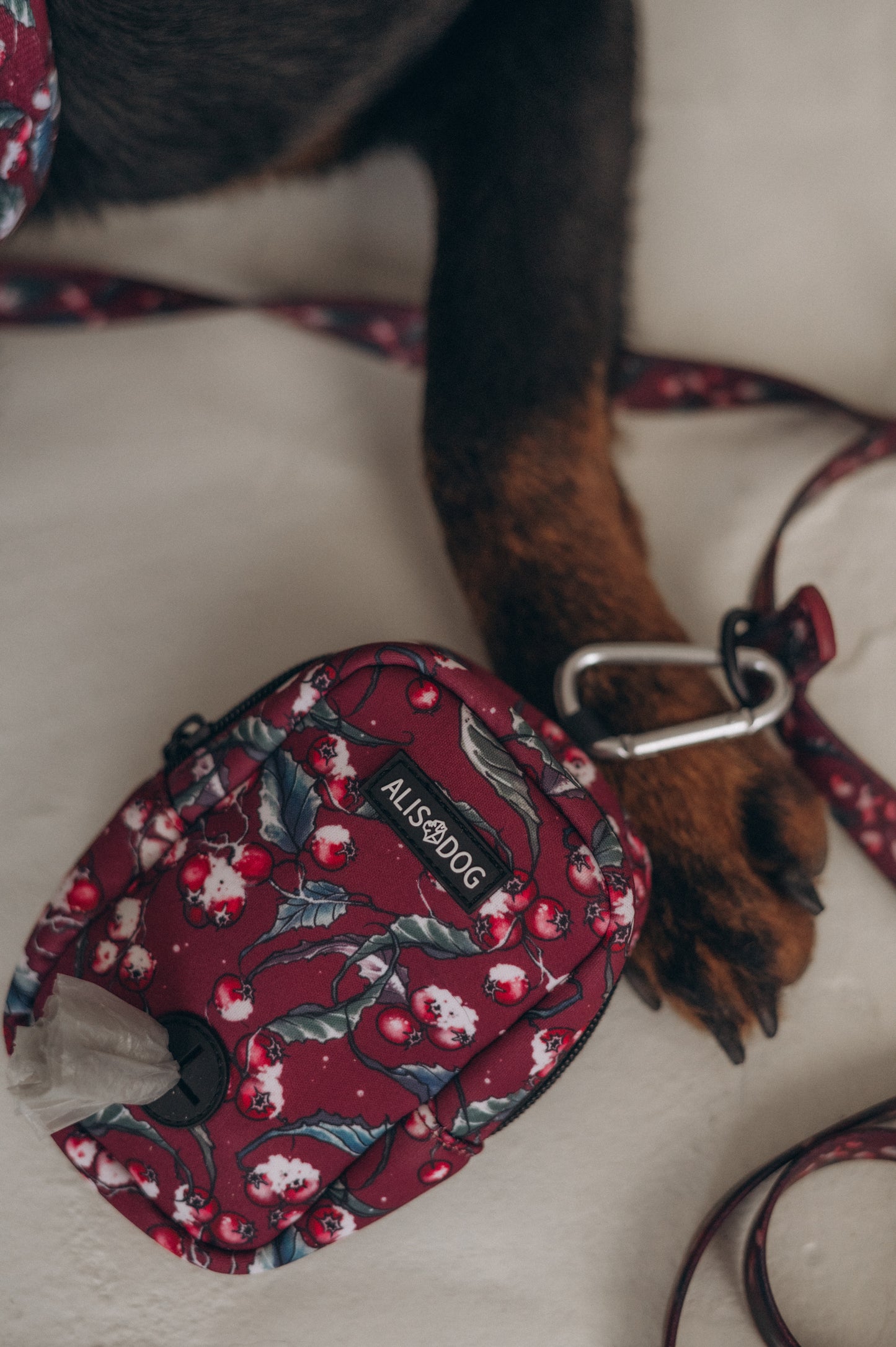 Dog treat bag Frosted Bliss