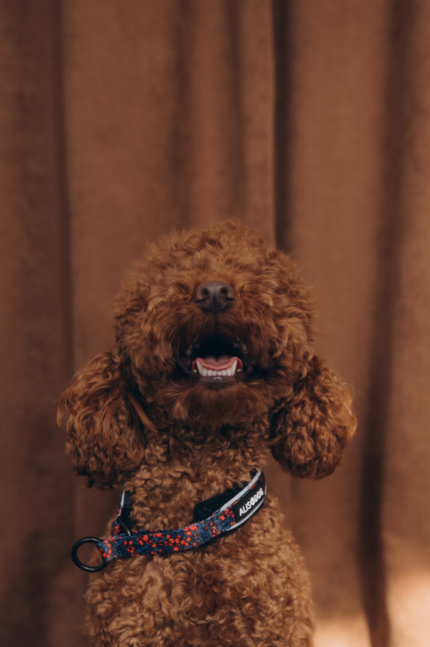 Soft dog collar The Red Berry