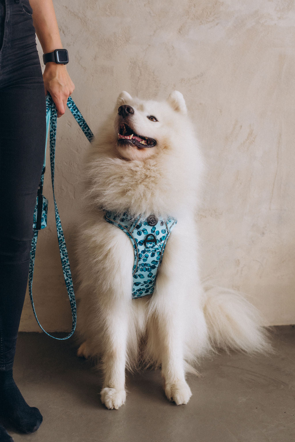 Strong Dog Harness Eucalyptus