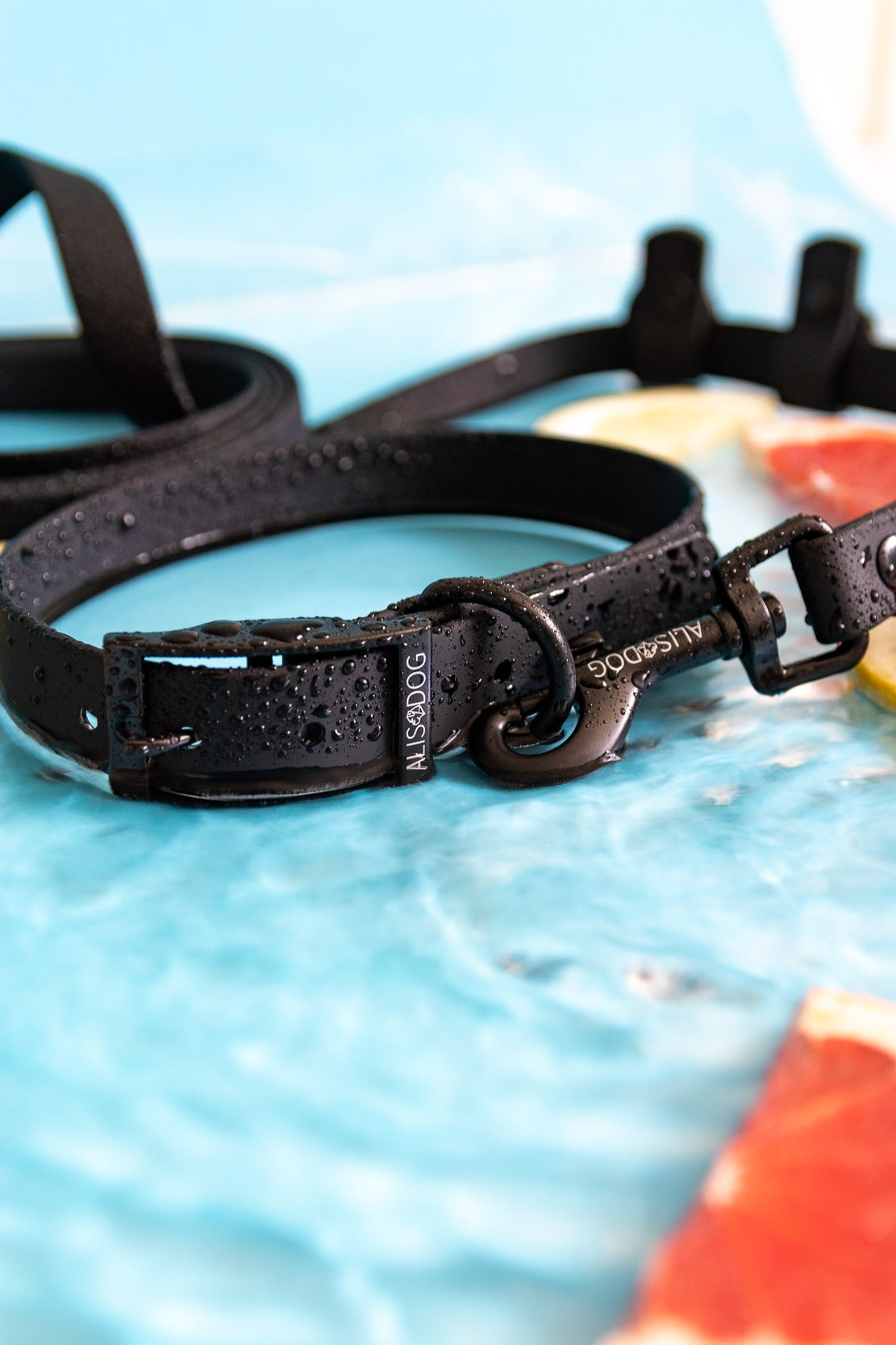 Black waterproof dog collar