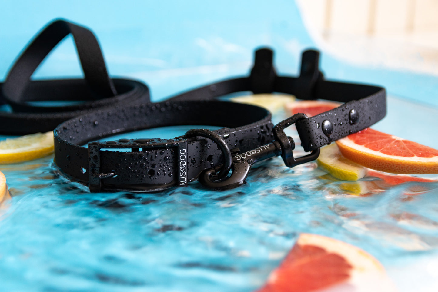 Black Waterproof Multi dog leash