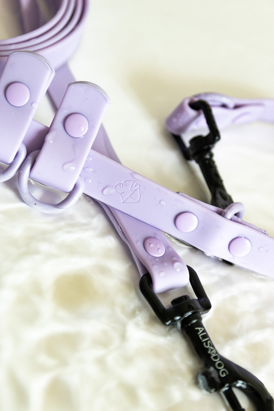 Lilac Waterproof Hands Free leash