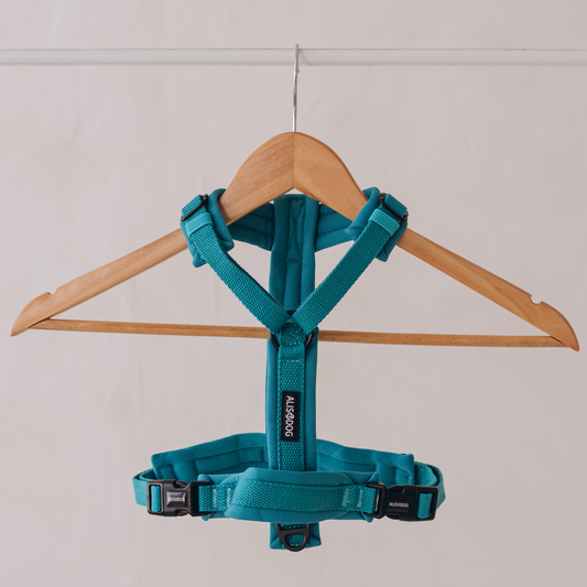 Y Strap Harness Teal