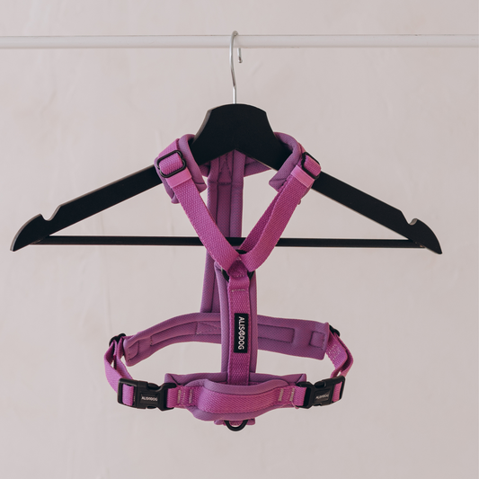 Y Strap Harness Lilac