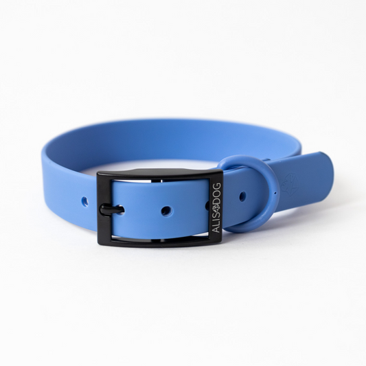 Blue Waterproof dog collar