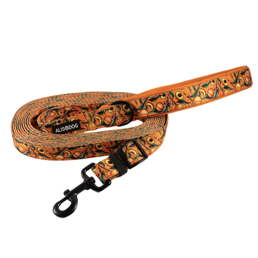 Dog leash PEACH BLISS adjustable lenght 500-250cm