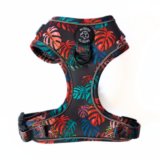 Neoprene dog harness Monstera Deliciosa