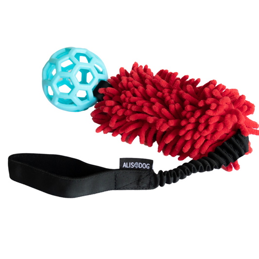 Bungee Tug Toy with Red Mop