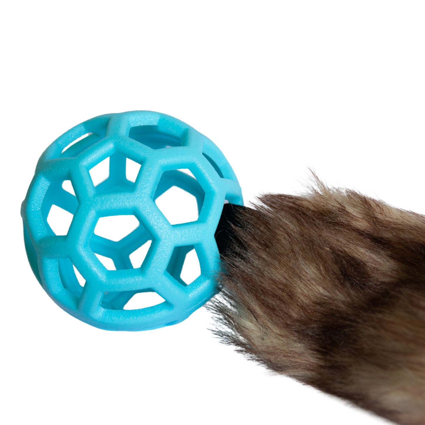 Bungee Tug Toy with Fur and Blue Ball