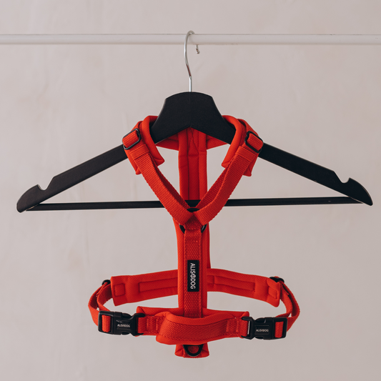 Y Strap Harness Red