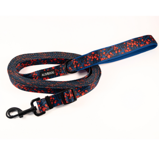 Dog leash RED BERRY adjustable lenght 500-250cm