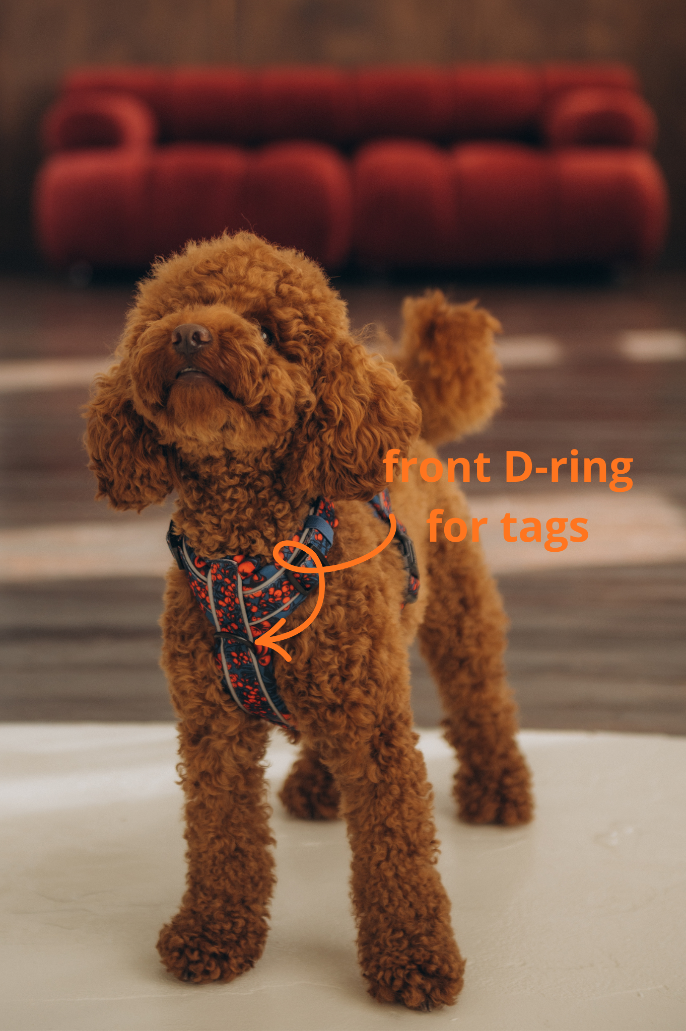 Comfy Harness 2.0 The Red Berry