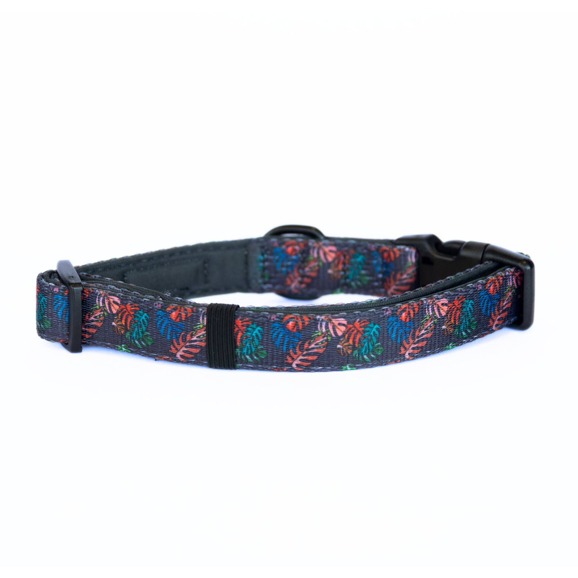 monstera deliciosa dogs Dog collar Monstera Deliciosa – ALISDOG